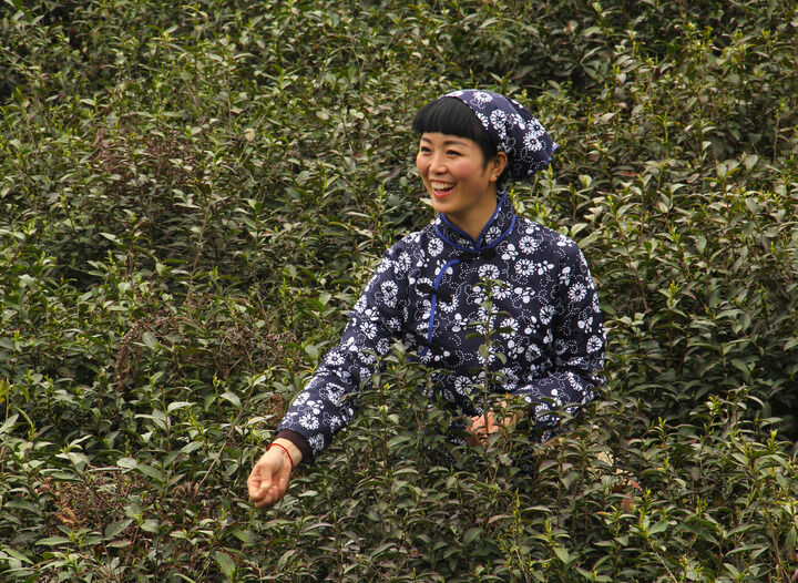 排行6